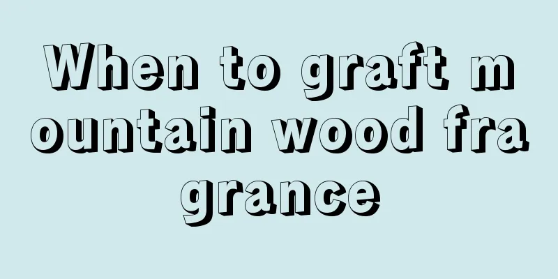 When to graft mountain wood fragrance