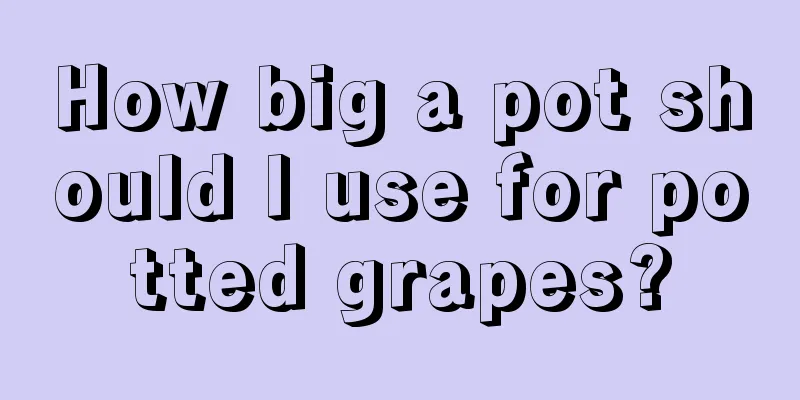 How big a pot should I use for potted grapes?