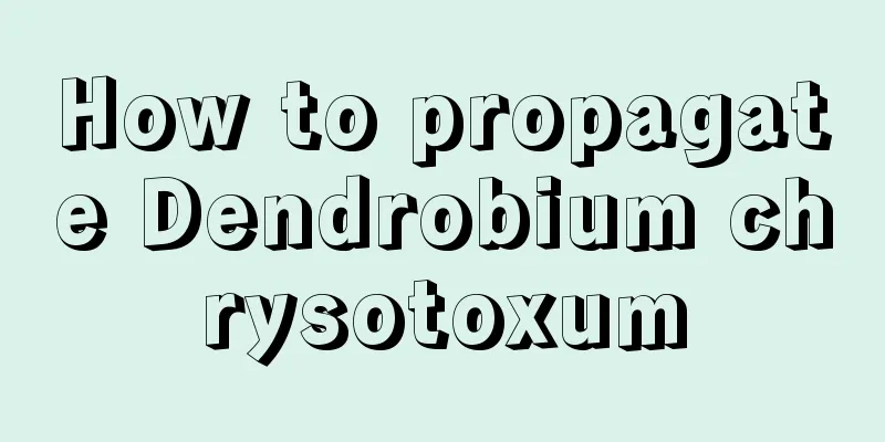 How to propagate Dendrobium chrysotoxum