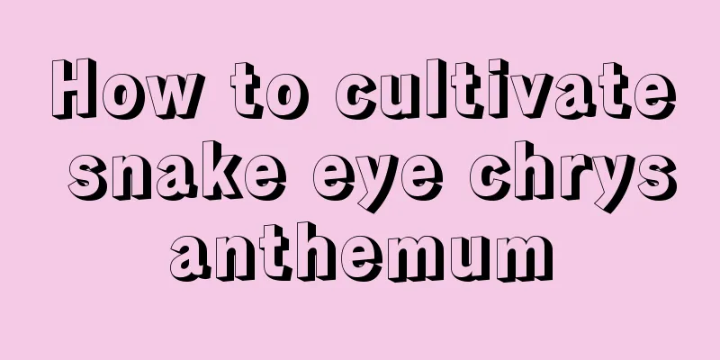 How to cultivate snake eye chrysanthemum