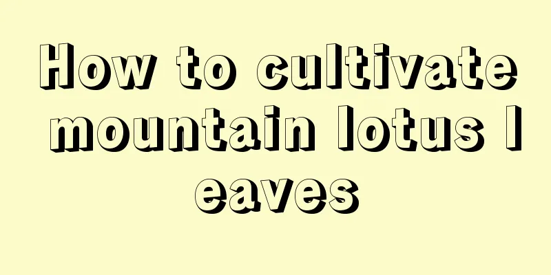 How to cultivate mountain lotus leaves