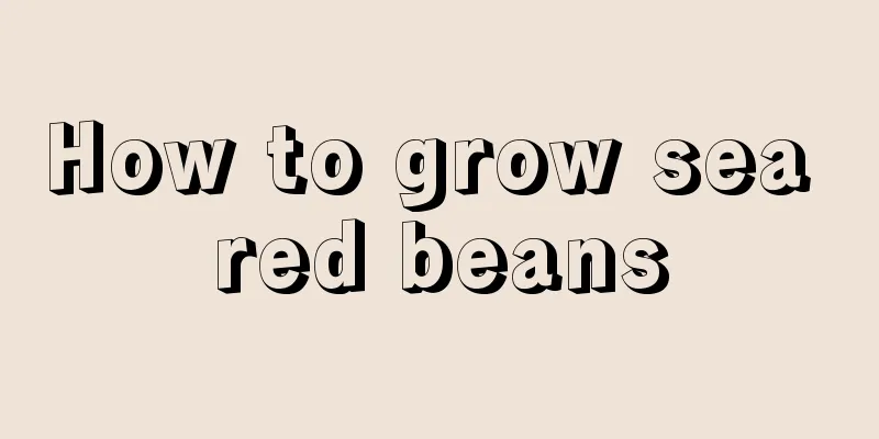 How to grow sea red beans