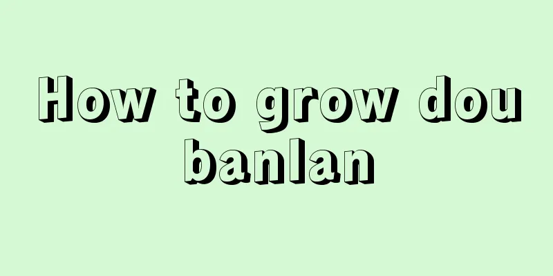 How to grow doubanlan