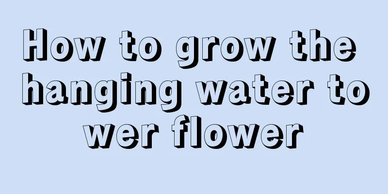 How to grow the hanging water tower flower