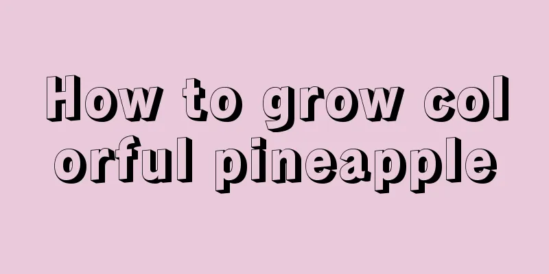 How to grow colorful pineapple