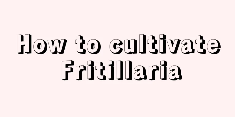 How to cultivate Fritillaria