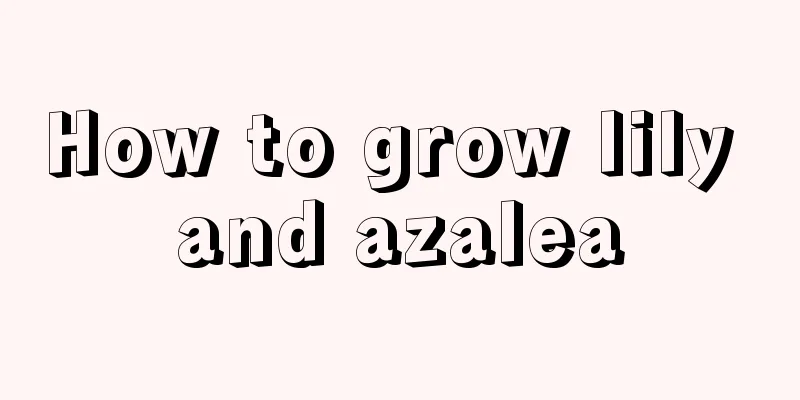 How to grow lily and azalea