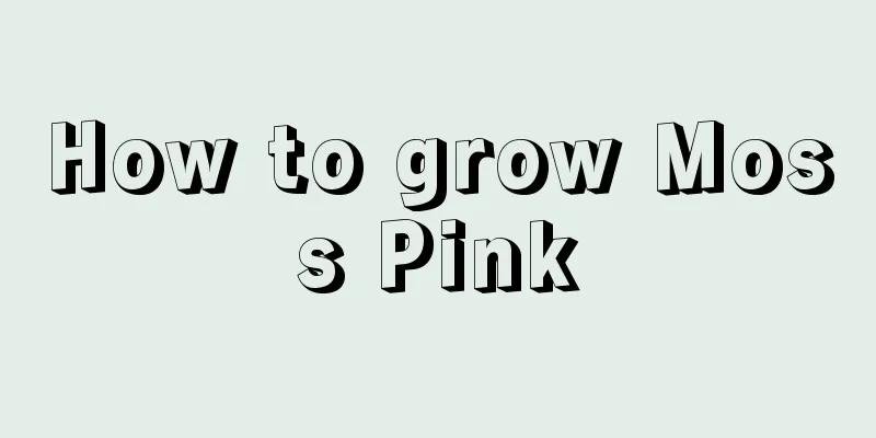 How to grow Moss Pink