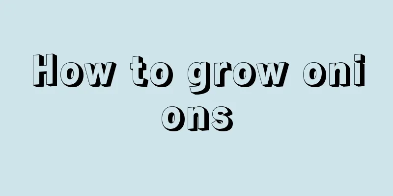 How to grow onions