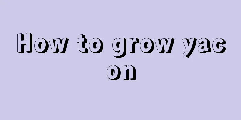 How to grow yacon