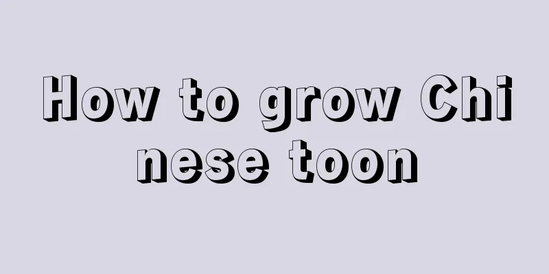 How to grow Chinese toon