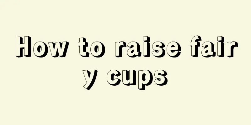 How to raise fairy cups