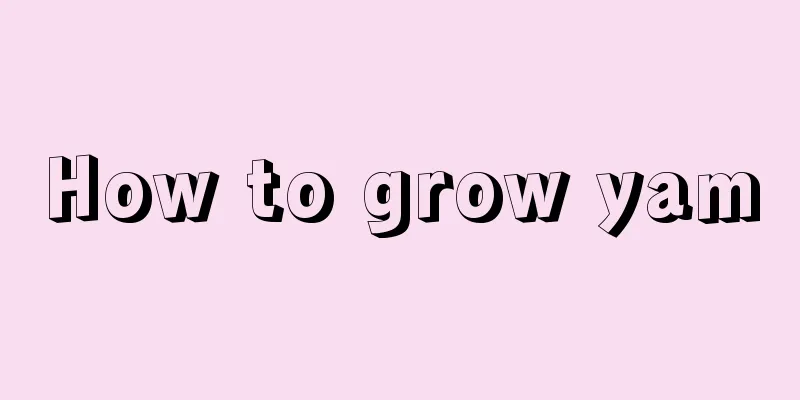 How to grow yam