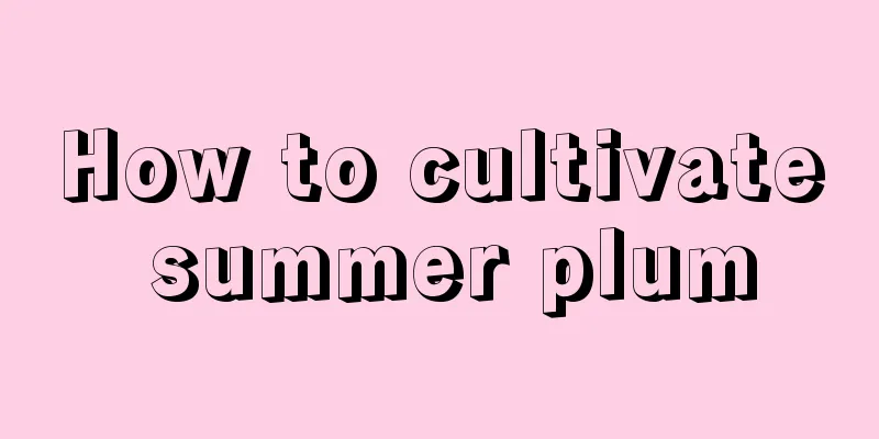 How to cultivate summer plum