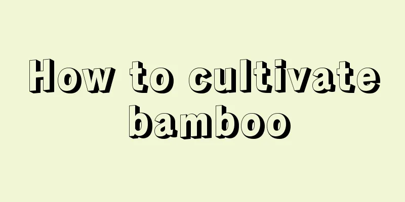 How to cultivate bamboo