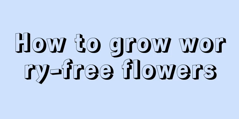 How to grow worry-free flowers