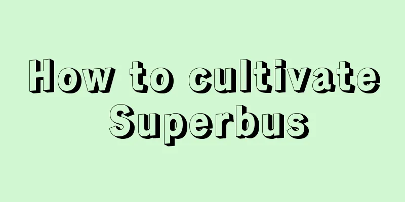 How to cultivate Superbus