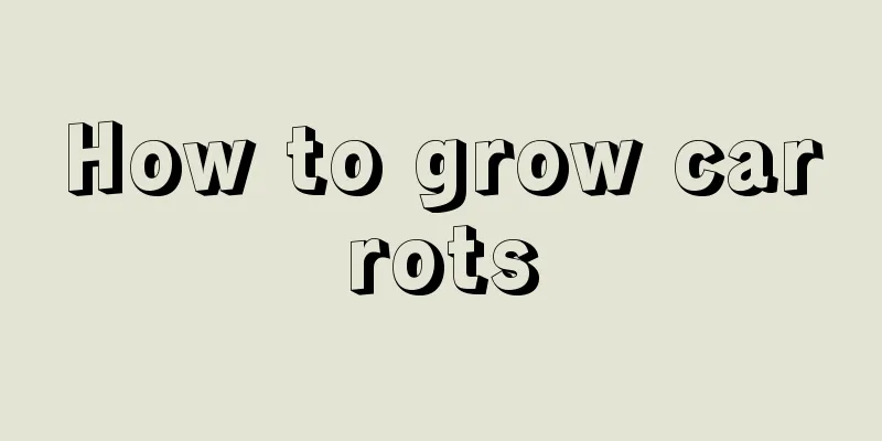 How to grow carrots