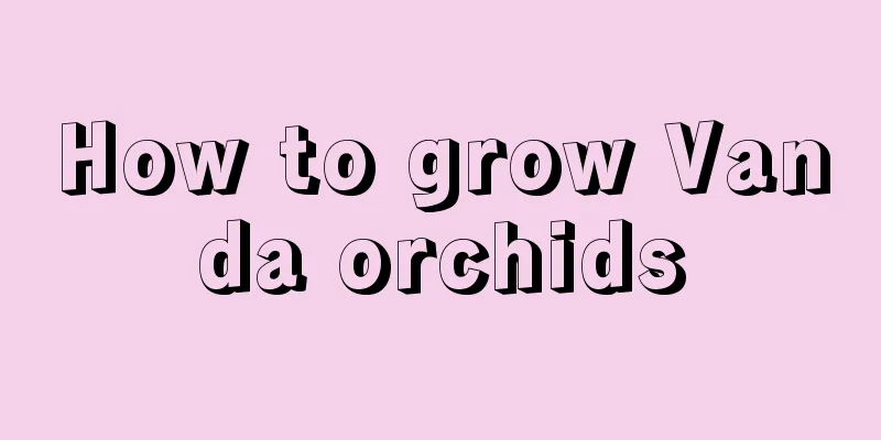 How to grow Vanda orchids