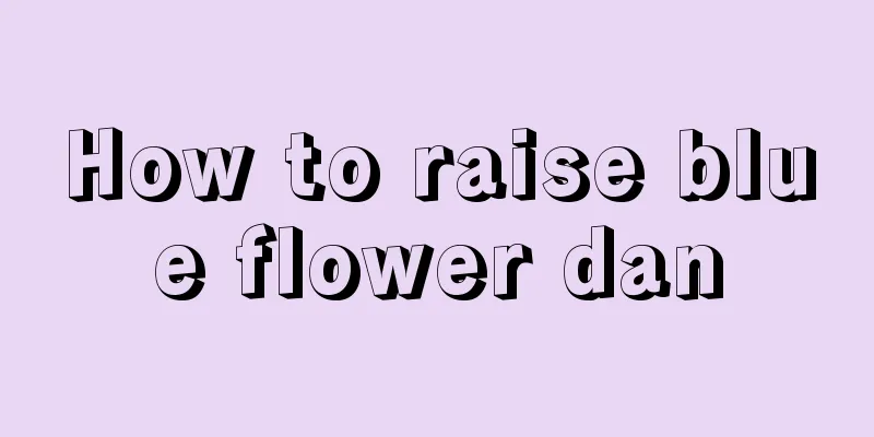 How to raise blue flower dan