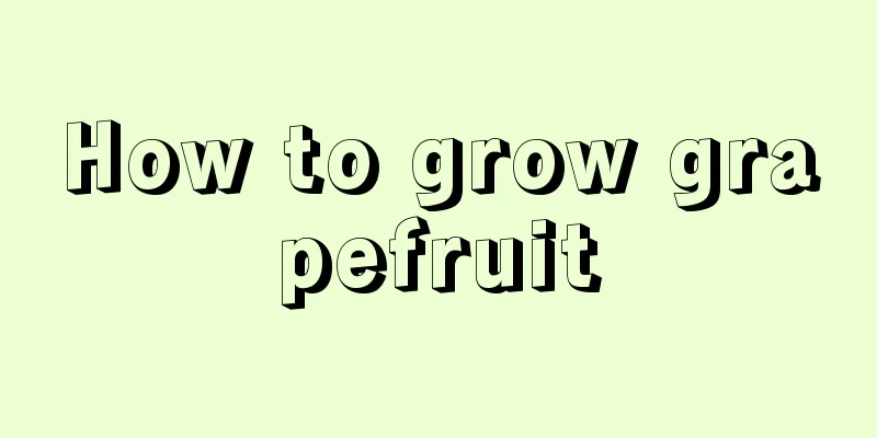 How to grow grapefruit