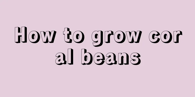 How to grow coral beans