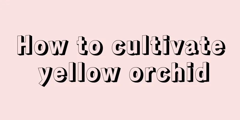 How to cultivate yellow orchid