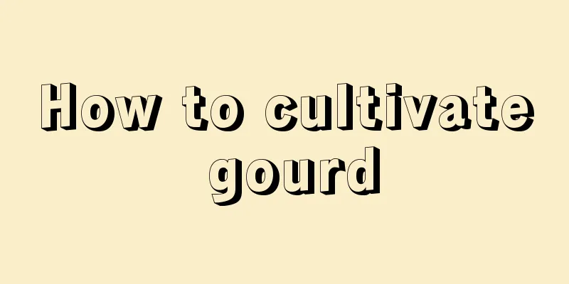 How to cultivate gourd