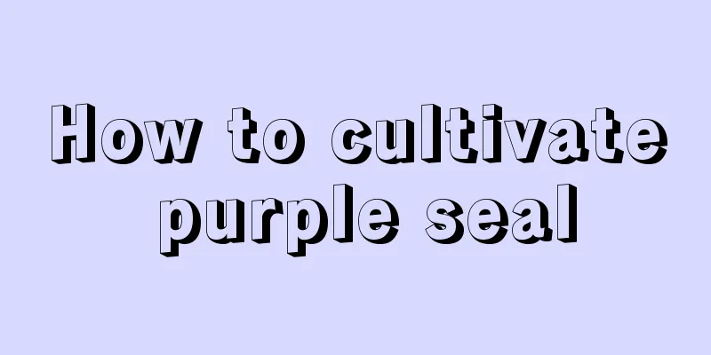 How to cultivate purple seal