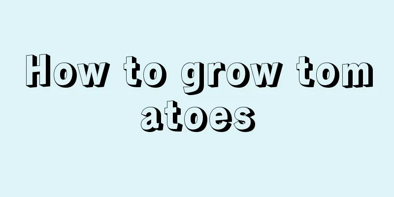 How to grow tomatoes