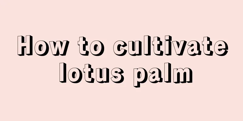 How to cultivate lotus palm