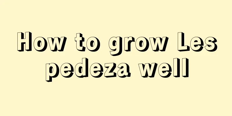 How to grow Lespedeza well