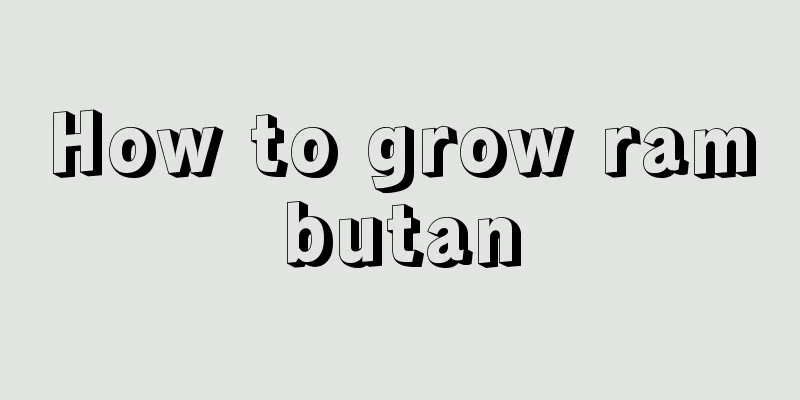 How to grow rambutan