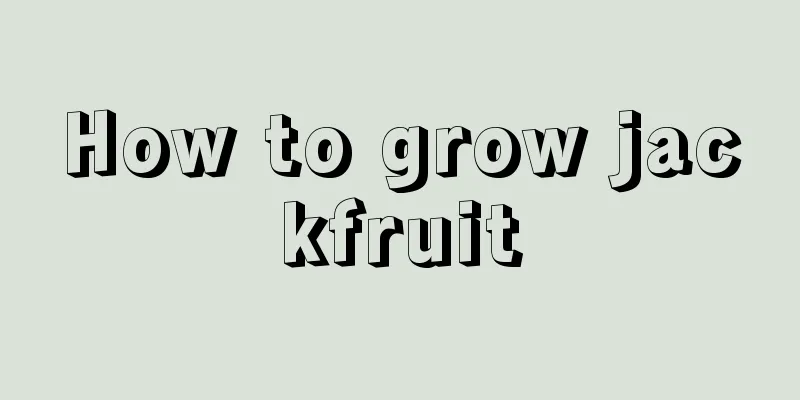 How to grow jackfruit