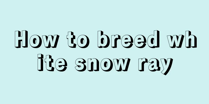 How to breed white snow ray