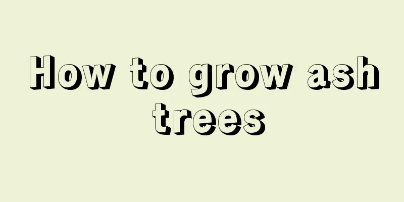 How to grow ash trees