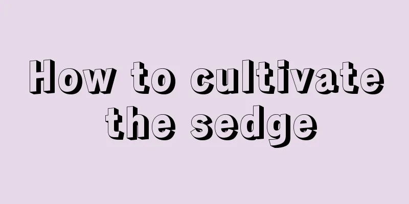 How to cultivate the sedge