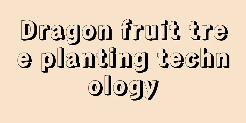 Dragon fruit tree planting technology