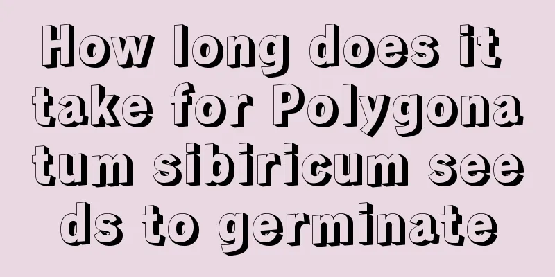 How long does it take for Polygonatum sibiricum seeds to germinate