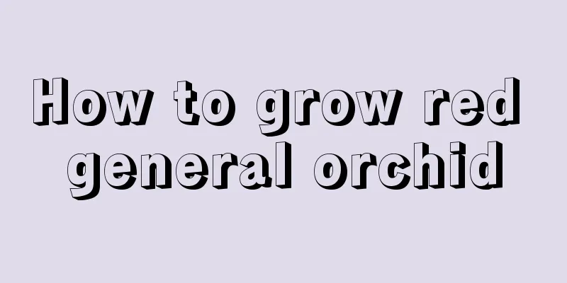 How to grow red general orchid