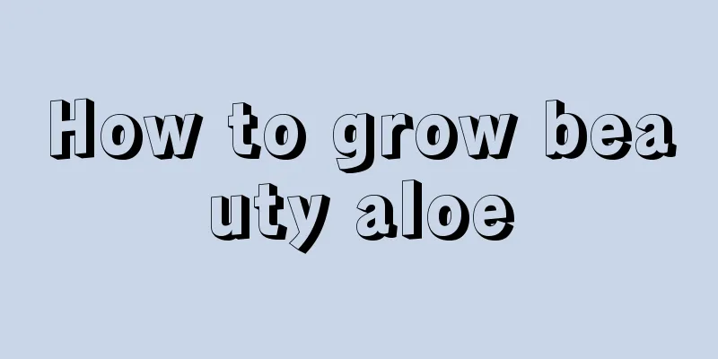 How to grow beauty aloe