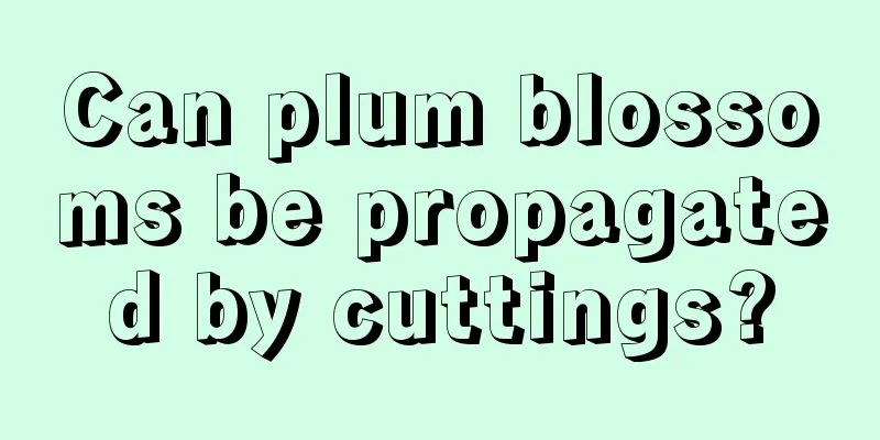 Can plum blossoms be propagated by cuttings?