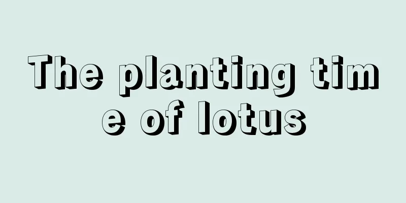 The planting time of lotus