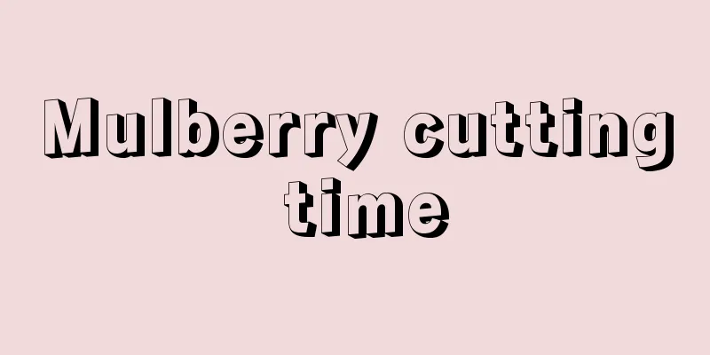 Mulberry cutting time