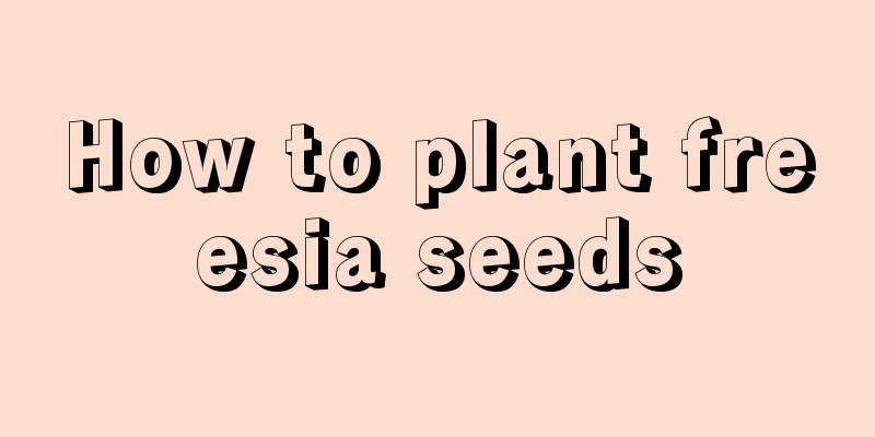 How to plant freesia seeds