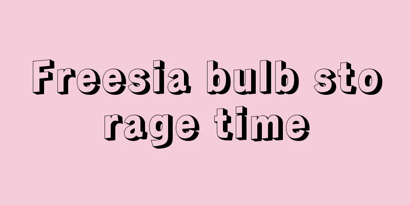 Freesia bulb storage time