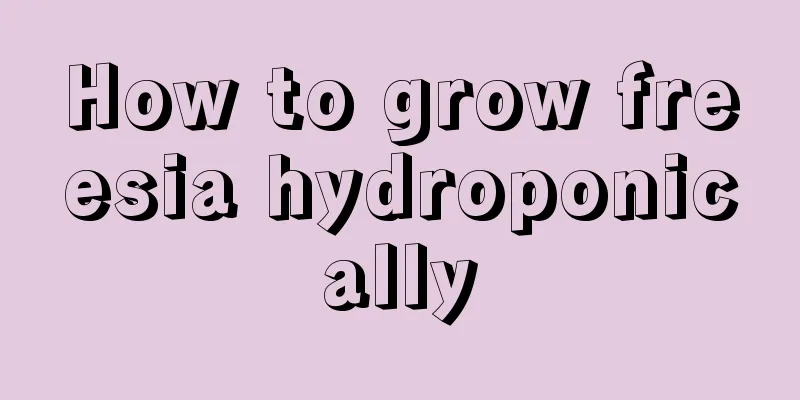 How to grow freesia hydroponically