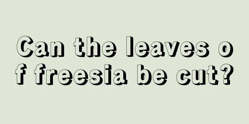 Can the leaves of freesia be cut?