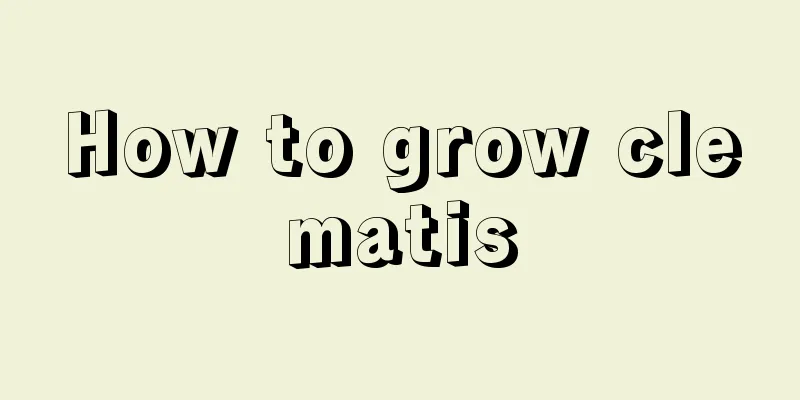 How to grow clematis