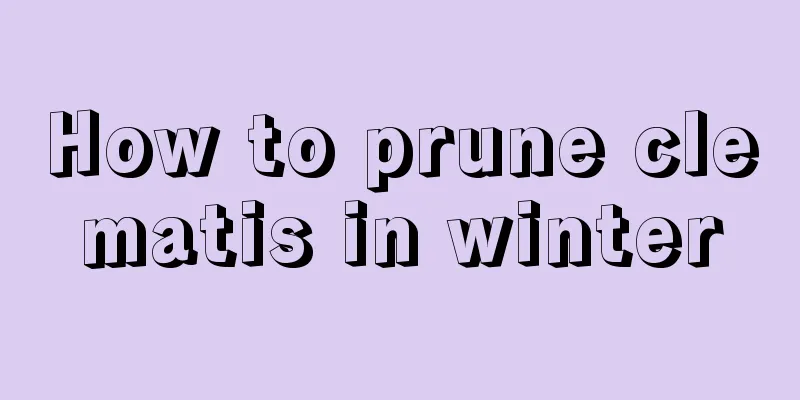 How to prune clematis in winter